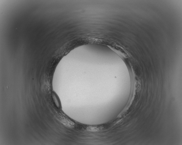 X0000082160613200702092219