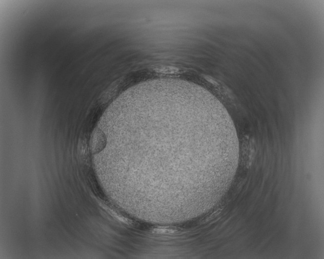 X0000082160614200702092219