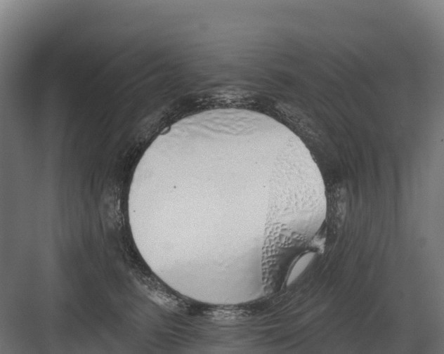 X0000082160615200702092219