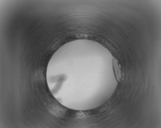 X0000082160616200702092219