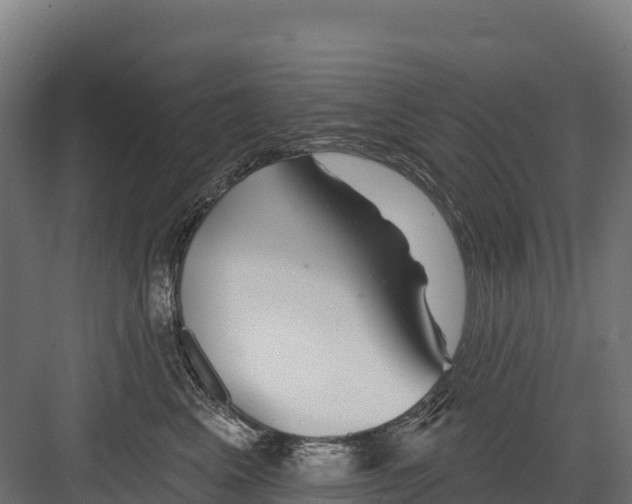 X0000082160617200702092219