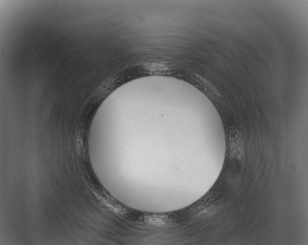 X0000082160618200702092219