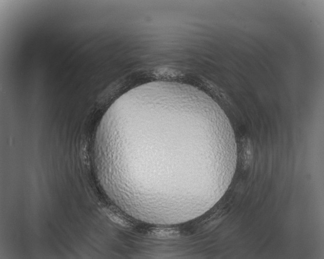 X0000082160619200702092219