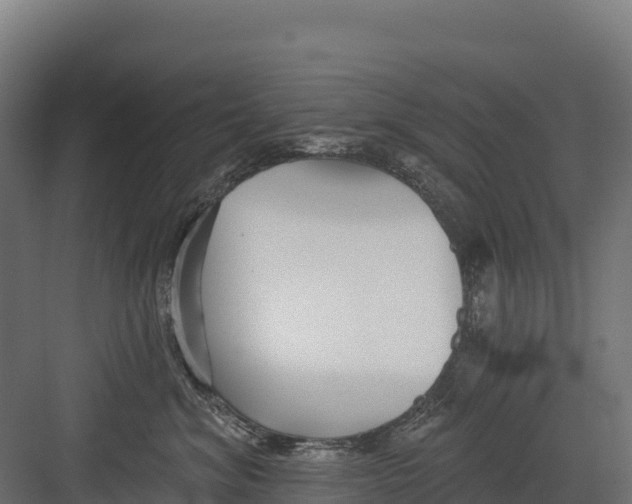 X0000082160620200702092219