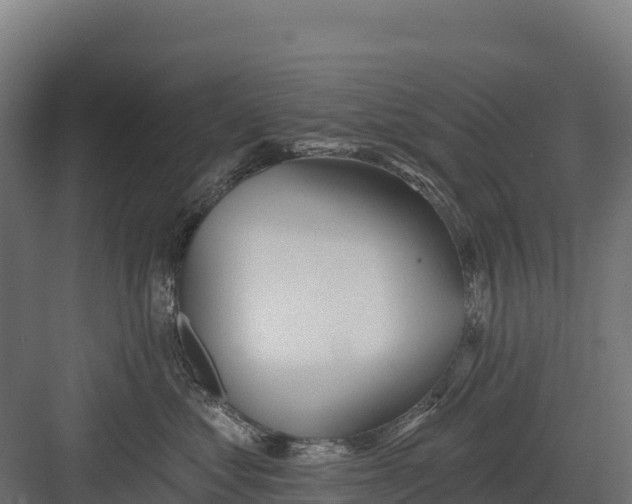 X0000082160621200702092219