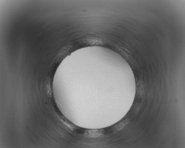 X0000082160622200702092219