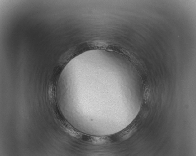 X0000082160623200702092219