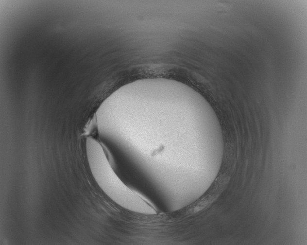 X0000082160624200702092219