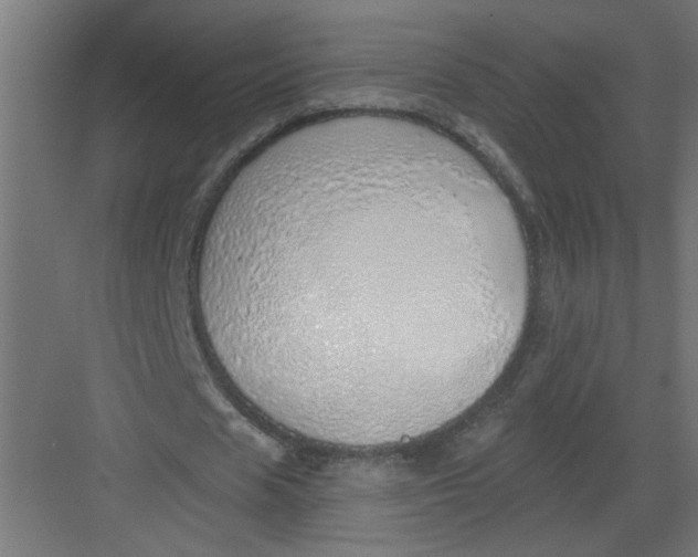 X0000082160625200702092218