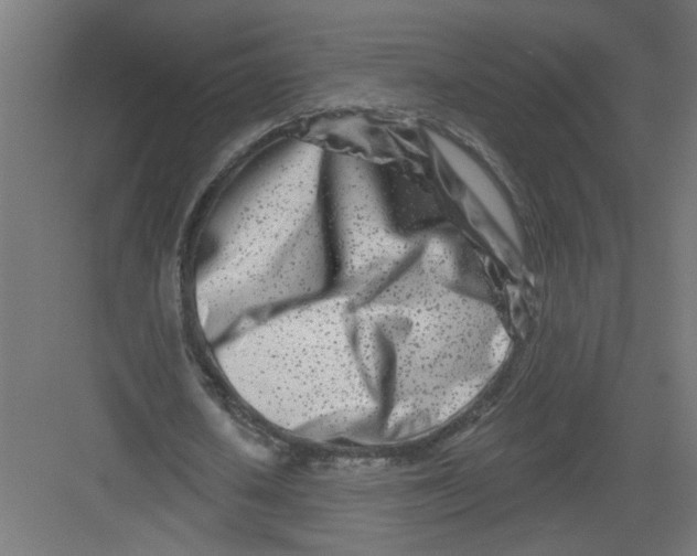 X0000082160626200702092218