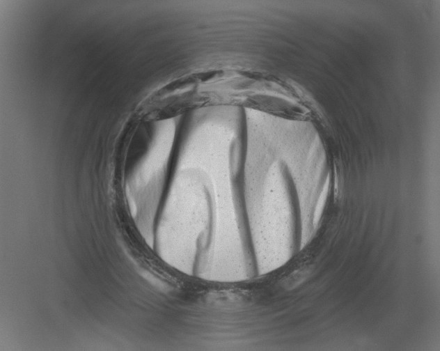 X0000082160627200702092218