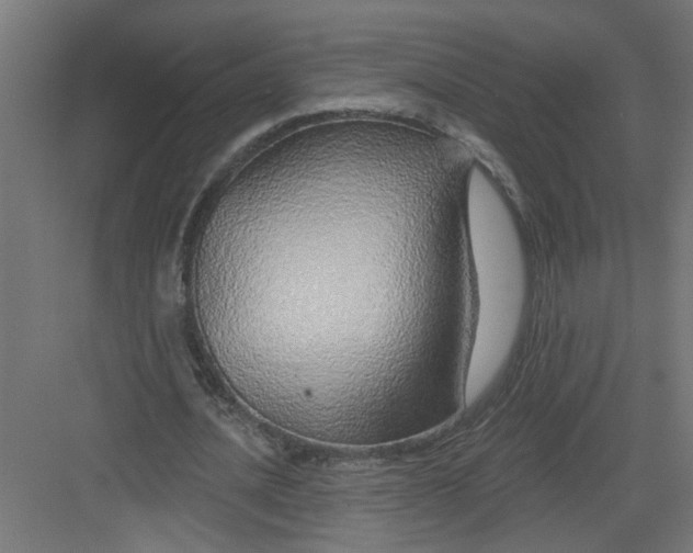 X0000082160628200702092218