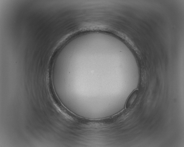 X0000082160629200702092218