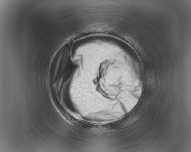 X0000082160630200702092218