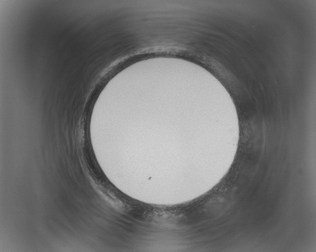 X0000082160632200702092218