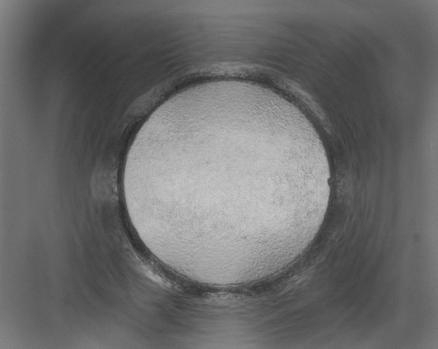 X0000082160633200702092218