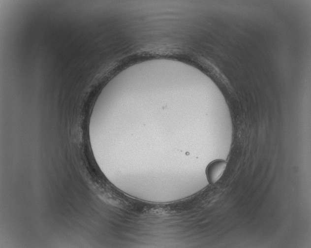 X0000082160635200702092218