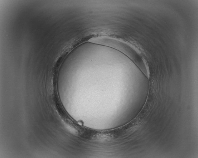 X0000082160638200702092218