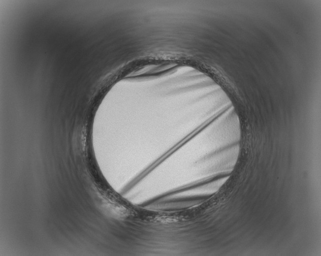 X0000082160640200702092219