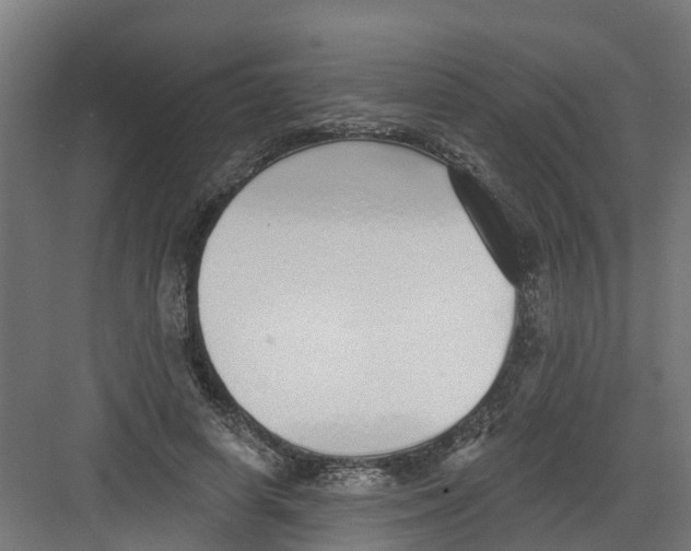 X0000082160642200702092219