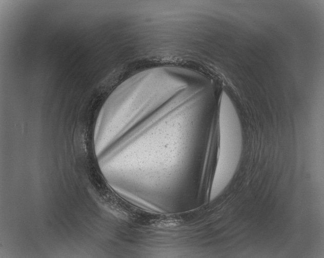 X0000082160643200702092219