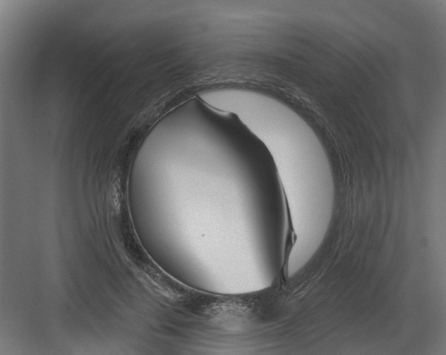 X0000082160644200702092219