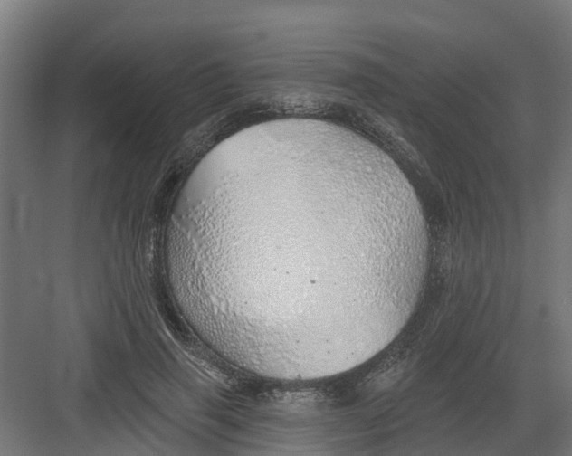 X0000082160645200702092219