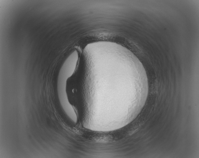 X0000082160646200702092219