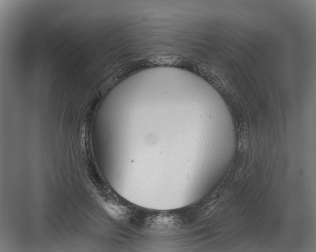 X0000082160647200702092219