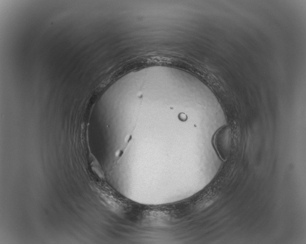 X0000082160649200702092219