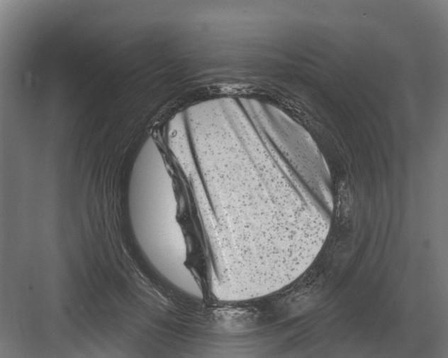 X0000082160650200702092219