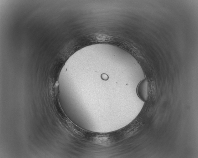 X0000082160651200702092219