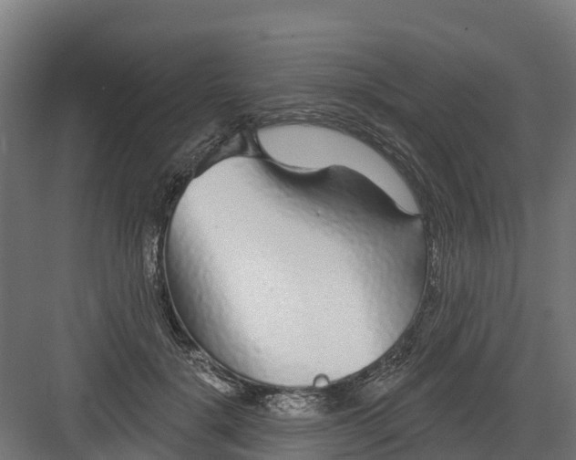 X0000082160652200702092219