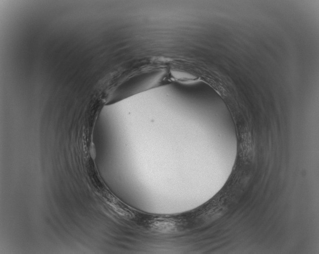 X0000082160653200702092219