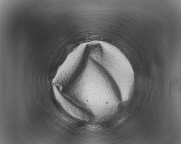 X0000082160654200702092219