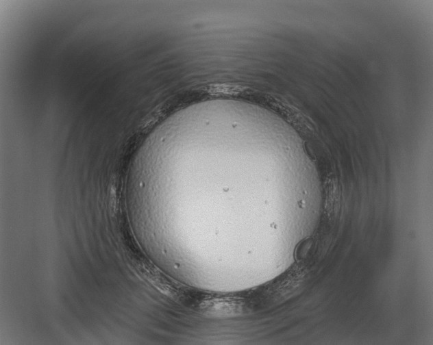 X0000082160655200702092219