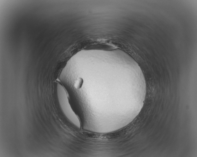 X0000082160656200702092219