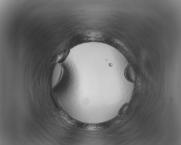 X0000082160657200702092219