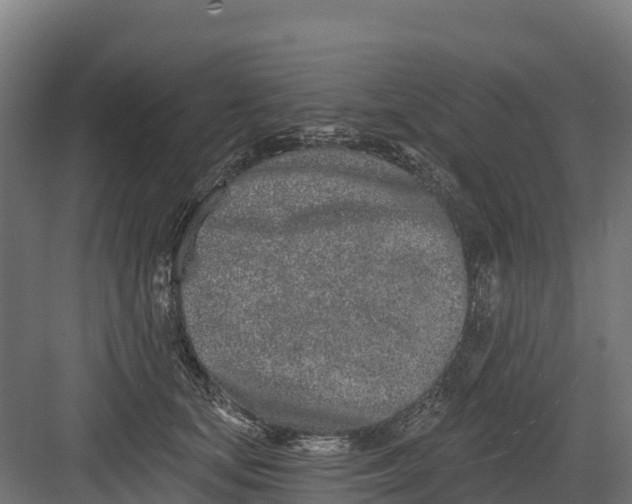 X0000082160659200702092219