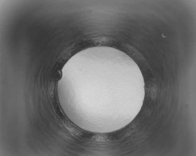 X0000082160660200702092219