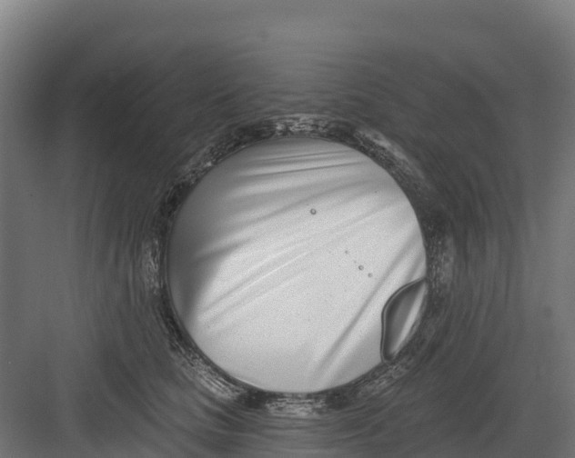 X0000082160661200702092219