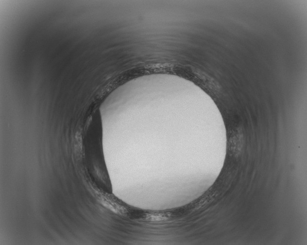 X0000082160662200702092219