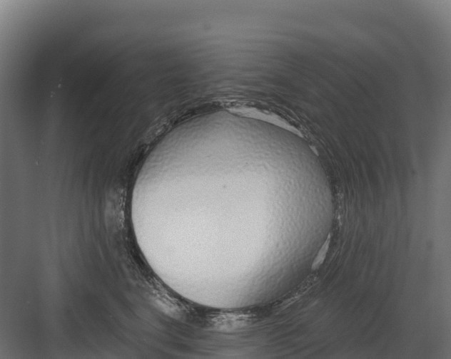 X0000082160664200702092219