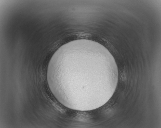 X0000082160666200702092219