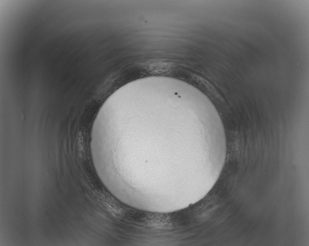 X0000082160667200702092219