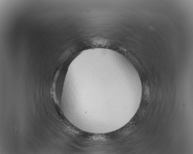 X0000082160668200702092219