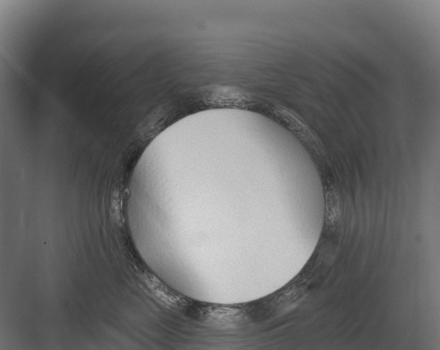 X0000082160669200702092219