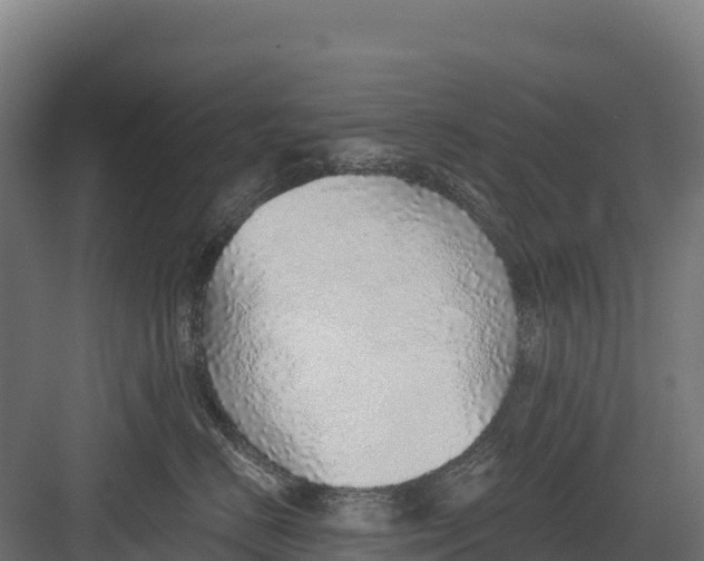 X0000082160670200702092219