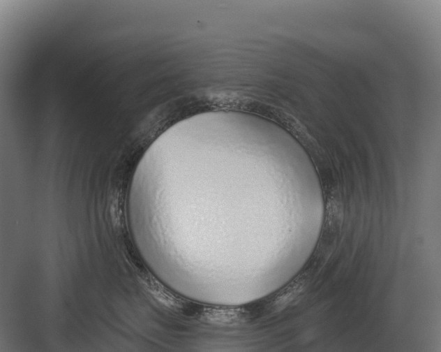 X0000082160671200702092219