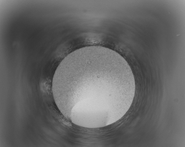 X0000082160672200702092219